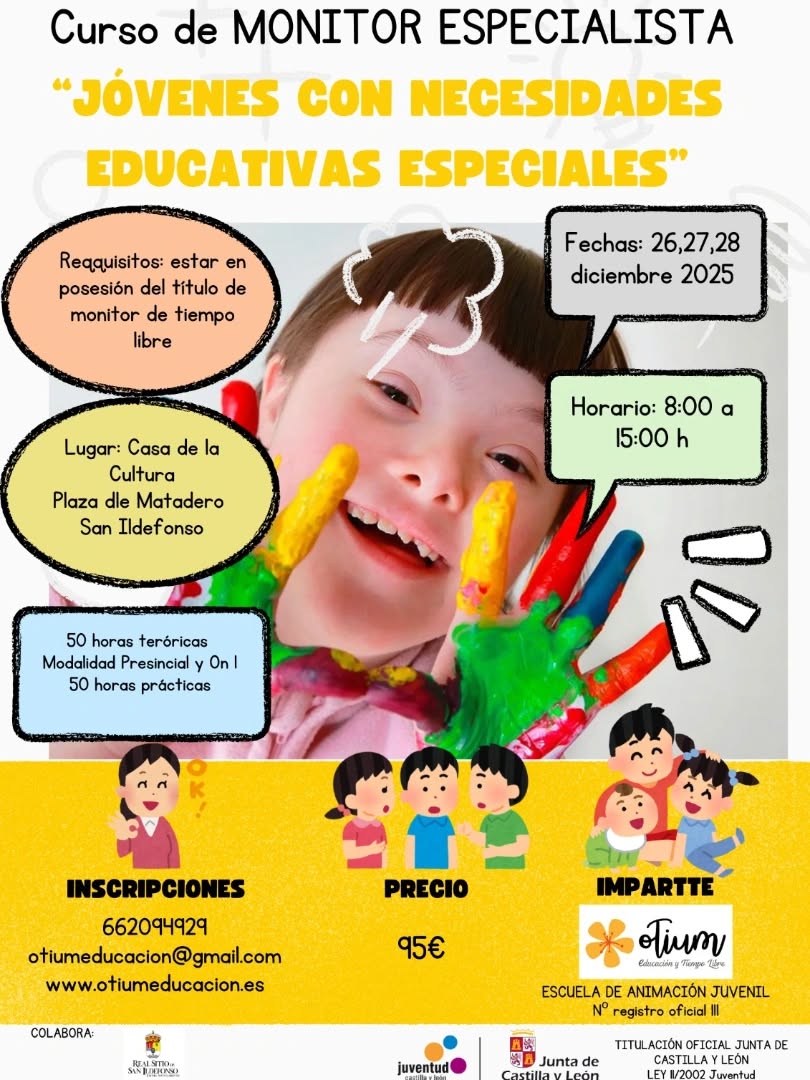 Curso Necesidades Educativas Especiales